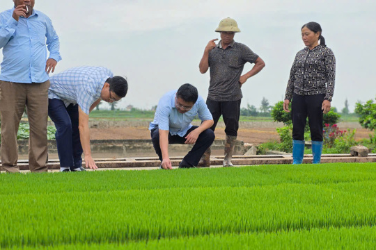UBND xã Giao Ninh kiểm tra các điều kiện sản xuất vụ Mùa năm 2025